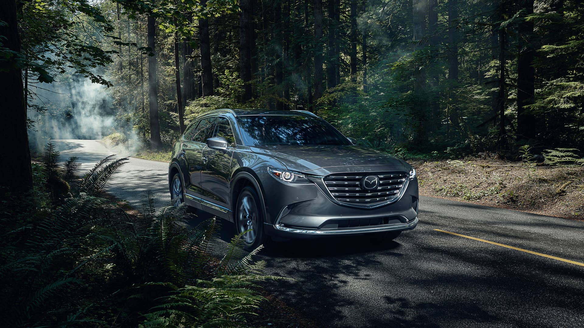 2021 Mazda CX-9.jpg?profile=